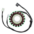 ElectroSport Stator TRIUMPH - 151202 - RecreaShop