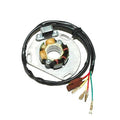 ElectroSport Stator KTM - 215112 - RecreaShop