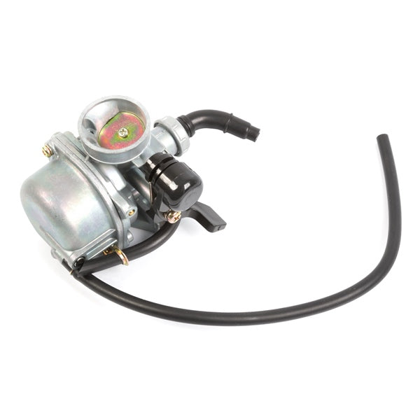 Mogoparts Carburateur assemblé pour moteur 4 temps de 19 mm - RecreaShop