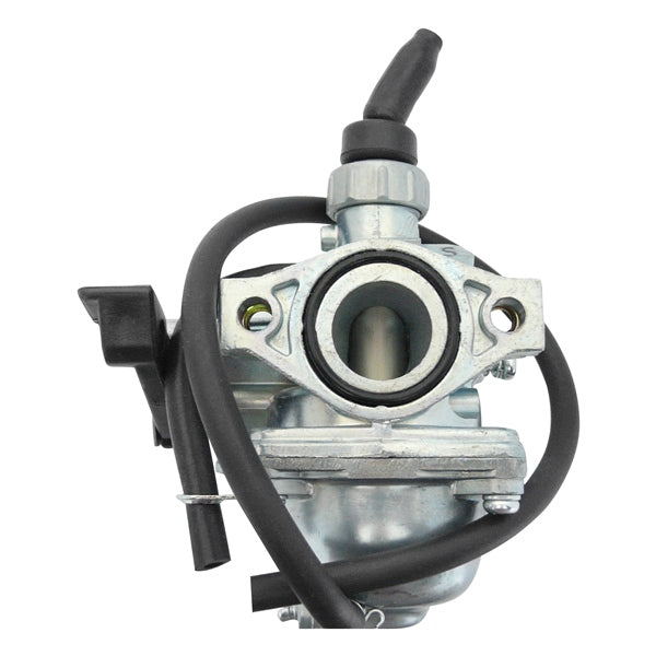 Mogoparts 19 mm assembled carburetor for 4-stroke engine
