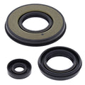 Vertex Engine Oil Seal Kit (55199)
