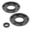 Vertex Engine Oil Seal Kit (55219)
