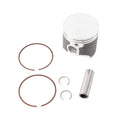 Vertex Piston Kit (24101B)
