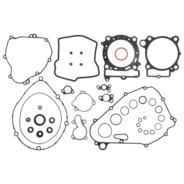 VERTEX GASKET SET & OIL SEALS (8110053)