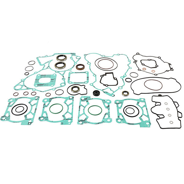 VERTEX GASKET SET & OIL SEALS (811370)