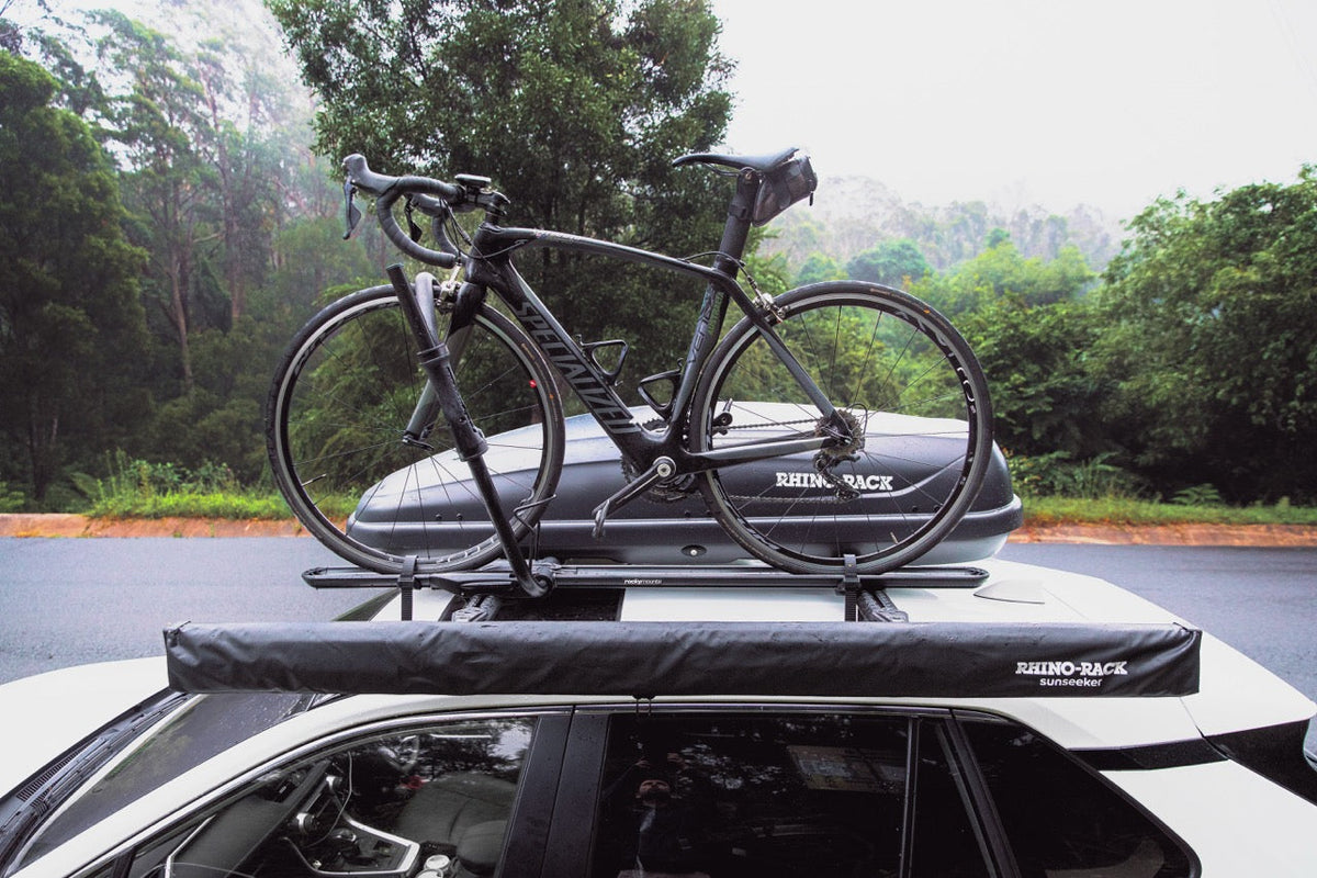 RockyMounts (12010)
