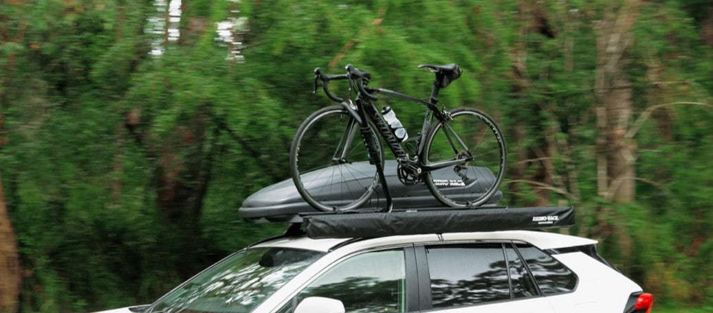 RockyMounts (12010)